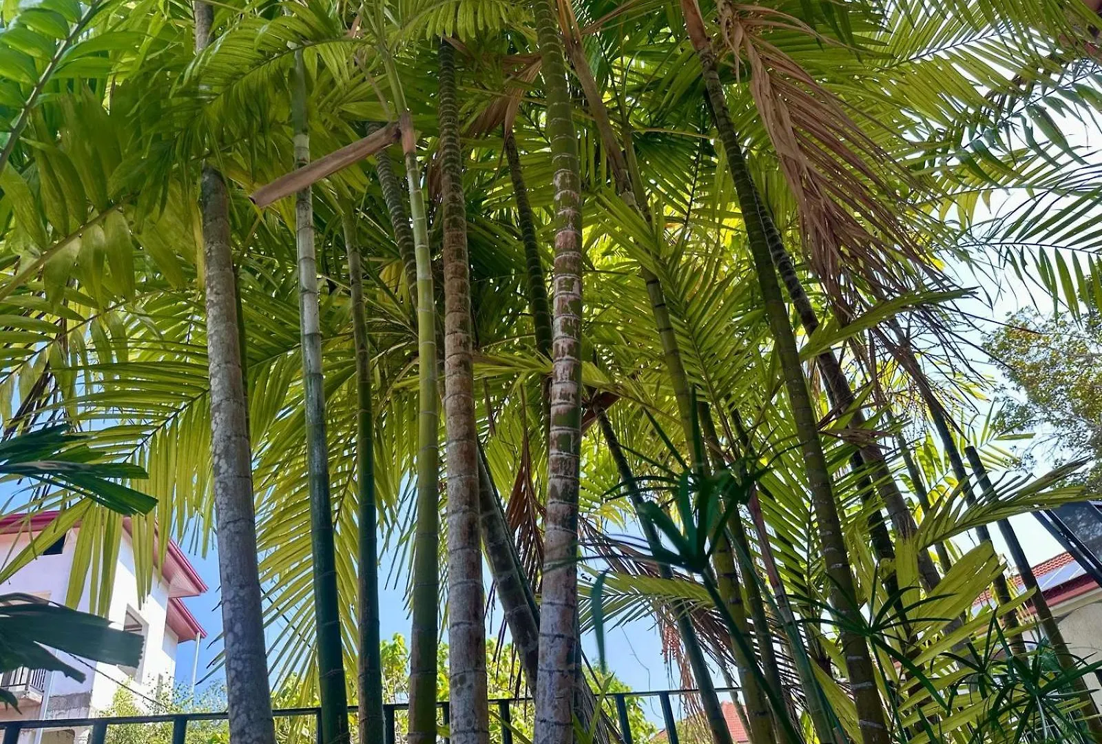 Marine Villa At Negombo Beach Sri Lanka
