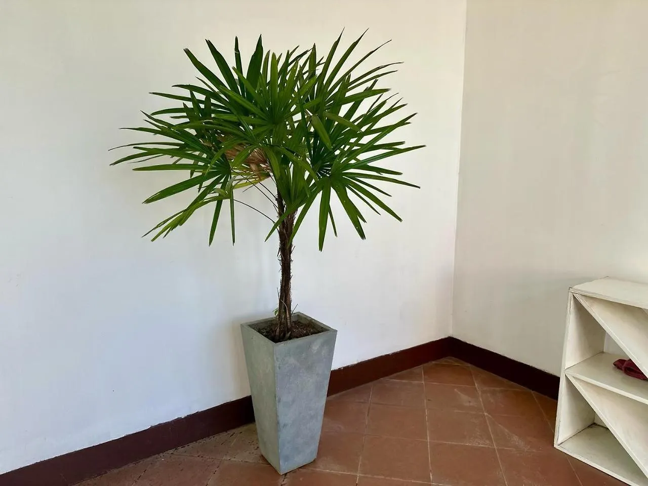 Marine Villa At Negombo Beach 0*,