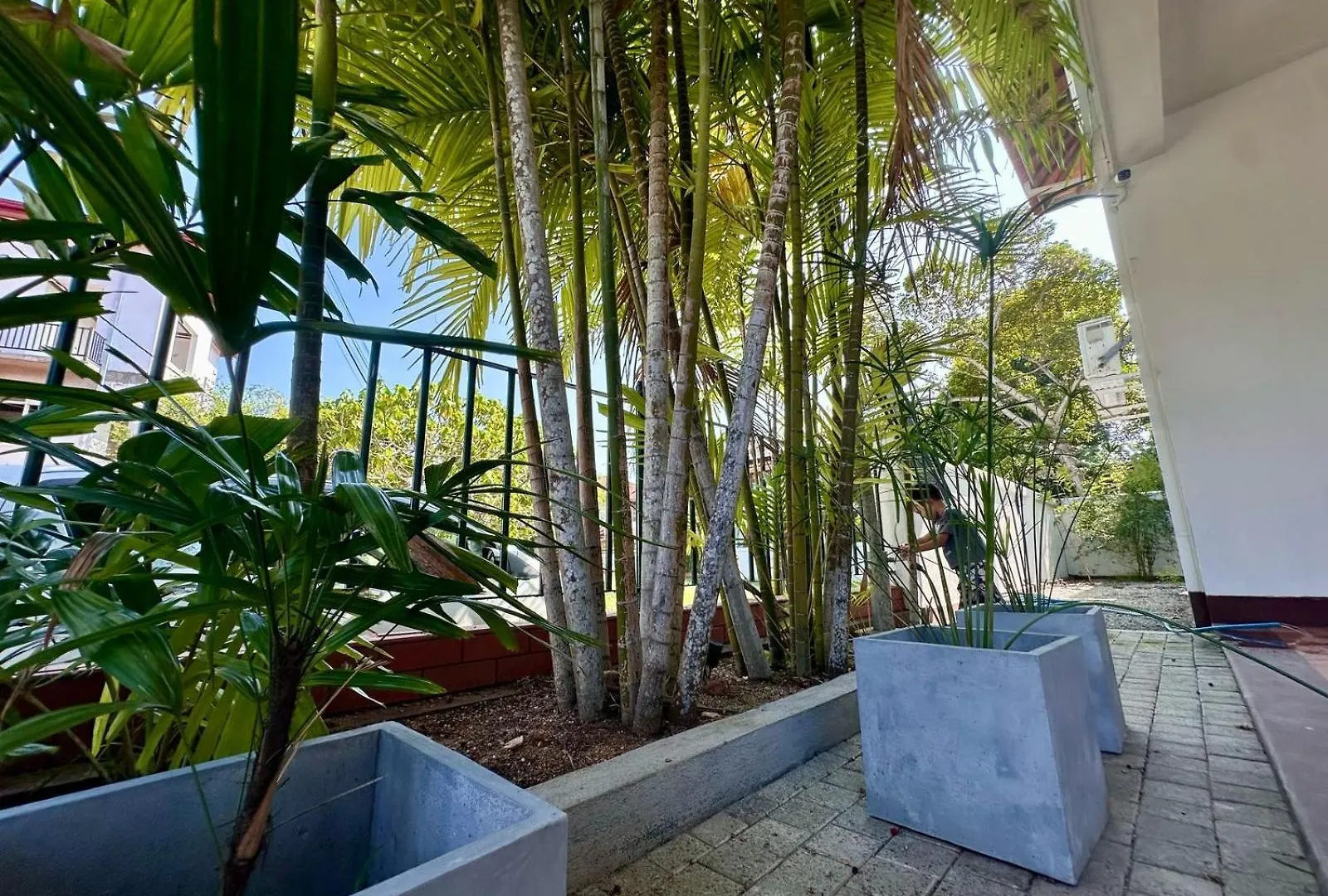 Marine Villa At Negombo Beach