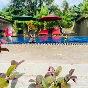 The Kingslayer Negombo