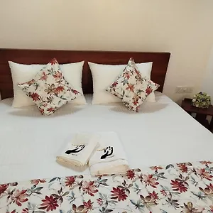 2* Отель Elzangi